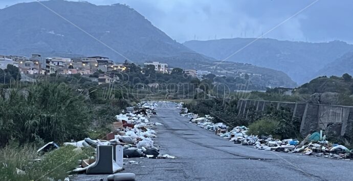 Reggio, ancora degrado a Mortara: rifiuti per strada e viabilità compromessa – FOTO
