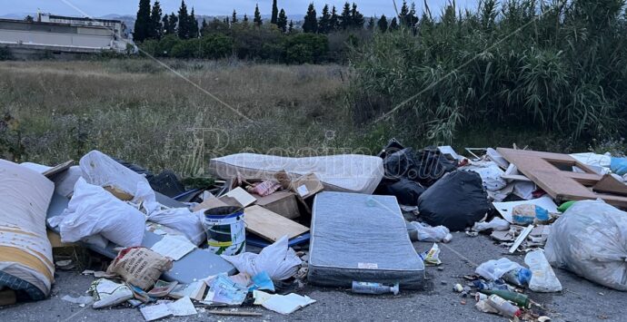 Reggio, ancora degrado a Mortara: rifiuti per strada e viabilità compromessa – FOTO
