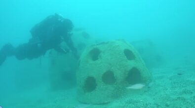 Roccella Jonica e Marina di Gioiosa, con la “blue economy” barriere sommerse per rigenerare la fauna marina