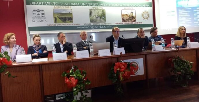 Reggio, ad Agraria filiera dell’olio e agroalimentare al centro del convegno per sviluppo e innovazione