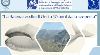 Reggio,”La Balena fossile di Ortì a 30 anni dalla scoperta”. Gli studi e le ricerche presentati in conferenza