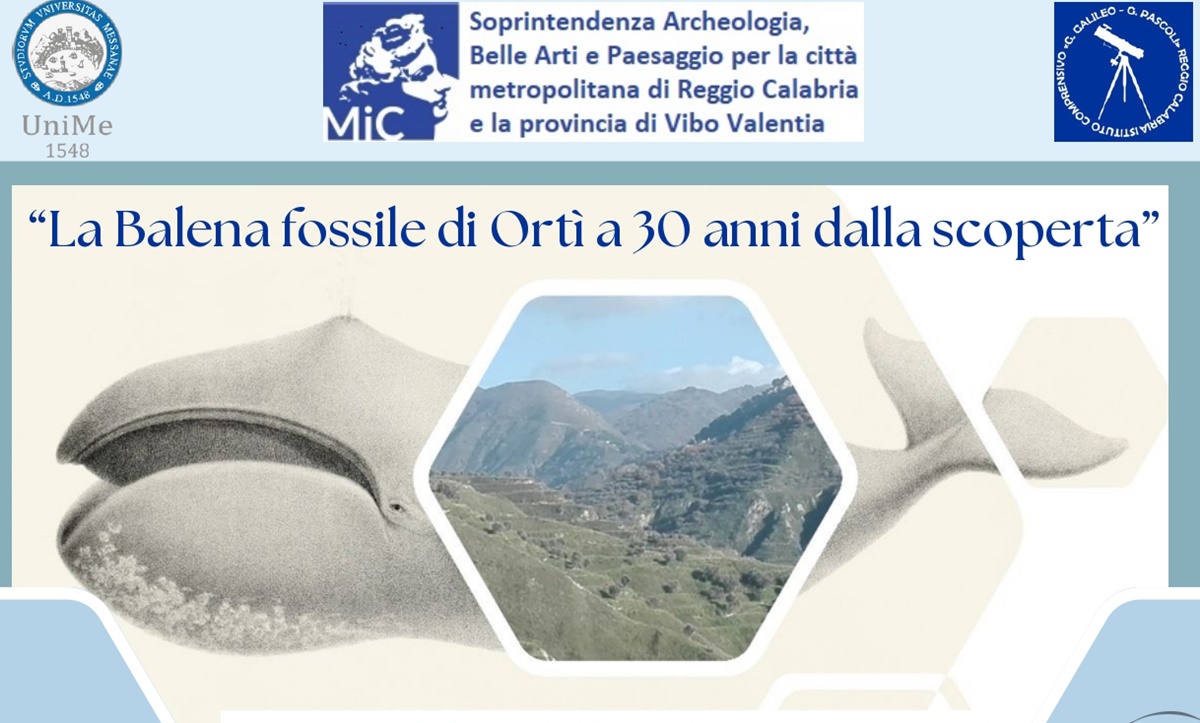 Reggio,”La Balena fossile di Ortì a 30 anni dalla scoperta”. Gli studi e le ricerche presentati in conferenza