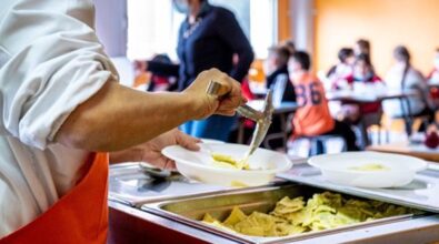 Mense scolastiche a Reggio, capelli nel cibo e ritardi: il caso approda in commissione