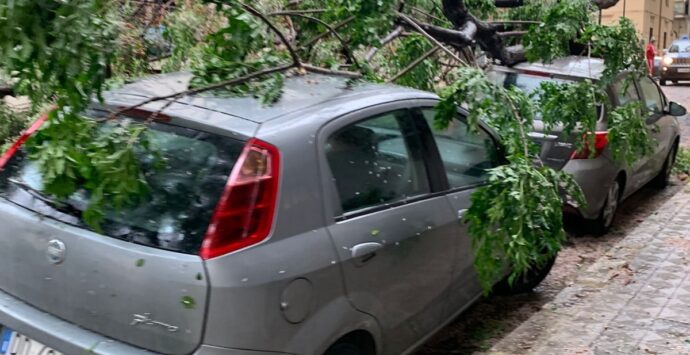 Maltempo a Reggio Calabria, vento e pioggia flagellano la città: c’è anche un morto – VIDEO