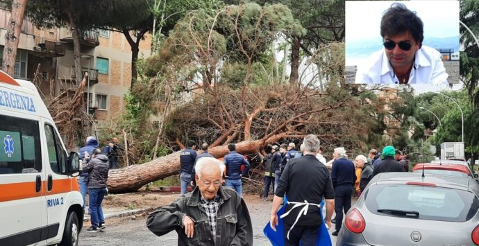 Maltempo a Reggio Calabria, vento e pioggia flagellano la città: c’è anche un morto – VIDEO