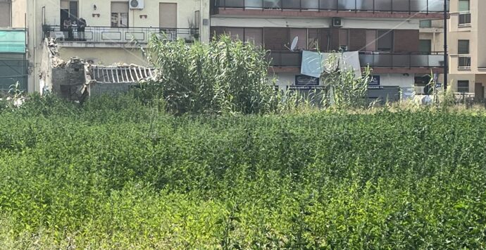 Reggio, sempre in stallo il cantiere degli orti urbani: area bonificata a rischio di degrado – FOTOGALLERY