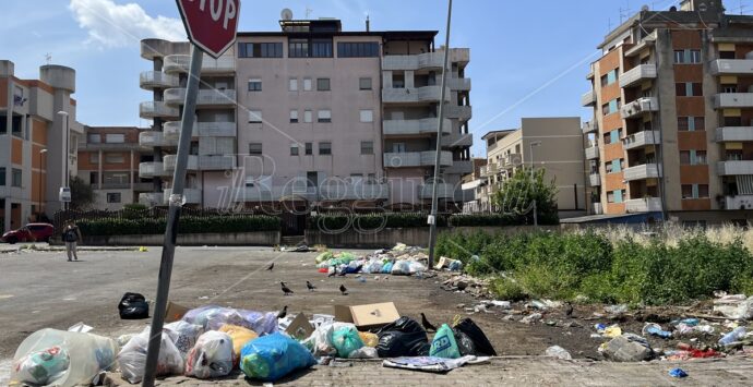 Reggio, anche nel rione Marconi la raccolta del Comune non basta per eliminare le discariche – FOTOGALLERY