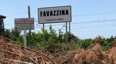Maltempo a Scilla, l’unica strada di accesso a Favazzina non è stata ancora liberata dall’albero crollato