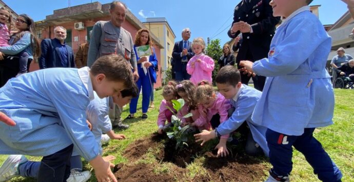 Cittanova, l’Albero di Falcone piantato dai bambini della scuola dell’infanzia “Padre Idà” – FOTOGALLERY