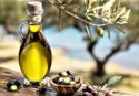 Reggio, alla facoltì di Agraria un seminario sull’olio d’oliva
