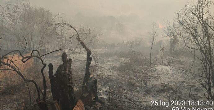 Incendi a Reggio, a Bianco scenario apocalittico: evacuato il centro abitato – FOTO