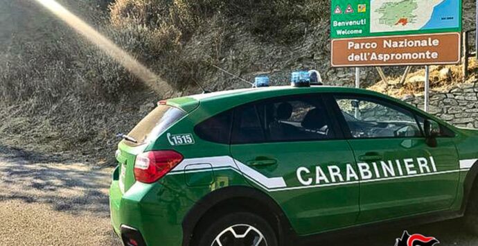 Ciclista si perde nel Parco d’Aspromonte, salvato dai carabinieri forestali