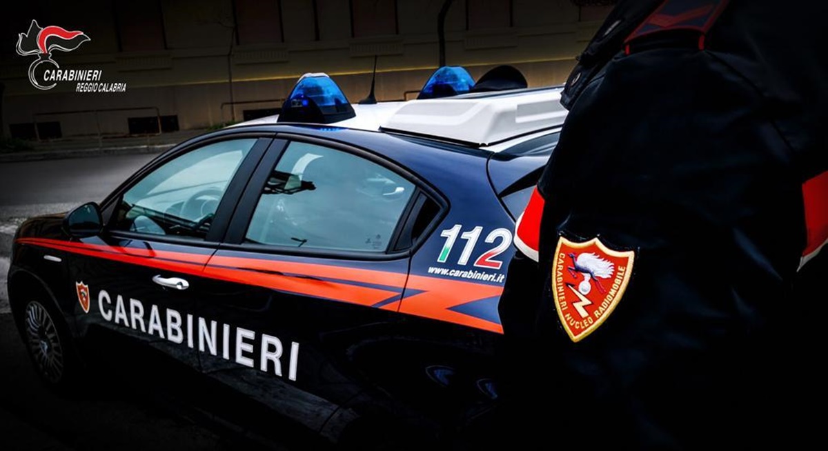 Delianuova, rinviene armi nascoste nel suo terreno: accertamenti in corso dei Carabinieri