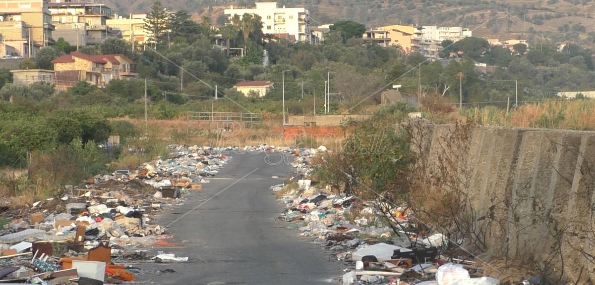 Reggio, rifiuti ospedalieri abbandonati tra Mortara e San Gregorio: ordinata la rimozione