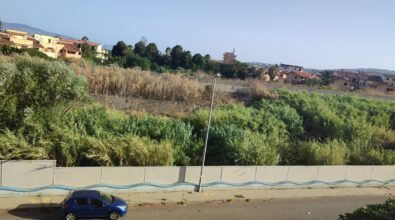 Reggio, la denuncia: «Torrente Gallico in stato di abbandono a tre anni»