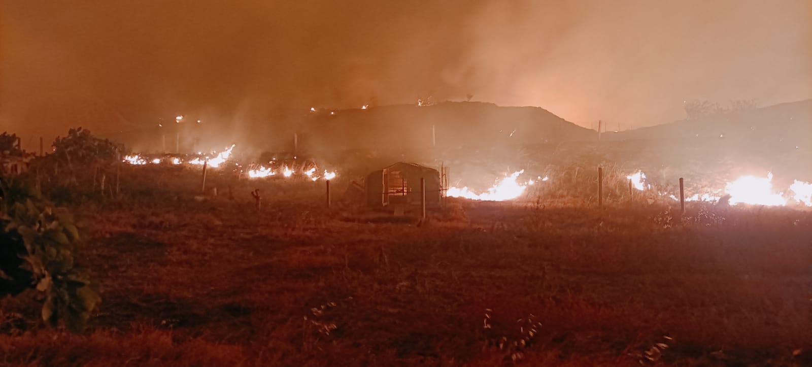 Le fiamme divorano l’area Grecanica, Penna: «Il mio comune rischia di scomparire»