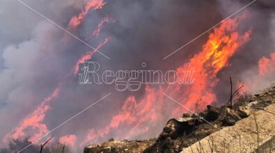 Reggio nella morsa delle fiamme, Fraschini: «Vigili del fuoco allo stremo»