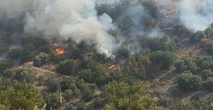 Le fiamme avanzano su Chorio, canadair in azione: famiglie evacuate precauzionalmente – FOTOGALLERY