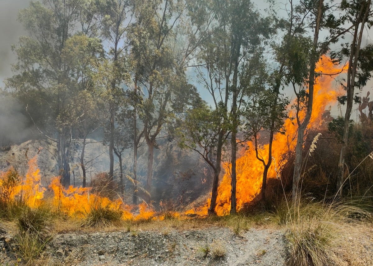 Le fiamme avanzano su Chorio, canadair in azione: famiglie evacuate precauzionalmente – FOTOGALLERY