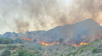 Incendi area Grecanica, bruciano le colline a Chorio