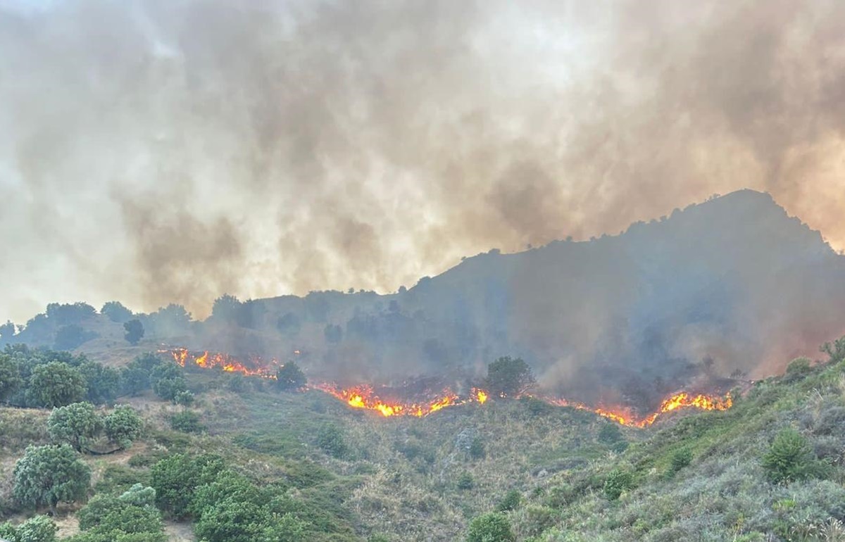 Incendi area Grecanica, bruciano le colline a Chorio
