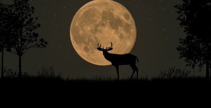 Superluna del Cervo, tra miti e leggende: ecco cosa succederà stasera