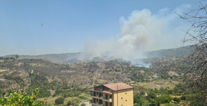 Incendi a Reggio, bonificata l’area di Mosorrofa grazie all’intervento incessante dei Vigili del Fuoco