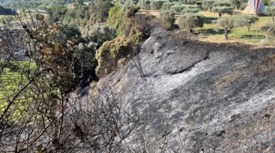 Incendio minaccia il MuSaBa di Mammola, intervengono i Vigili del Fuoco