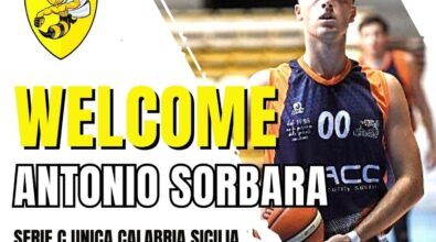 Basket, Antonio Sorbara alla Stingers Reggio Calabria