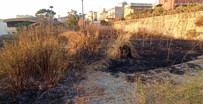 Reggio, incendio nell’abbandonato parco di San Giovannello: la denuncia del comitato di quartiere – FOTO