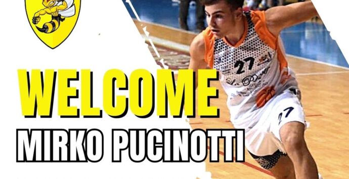 Basket, alla Stingers arriva Mirko Pucinotti
