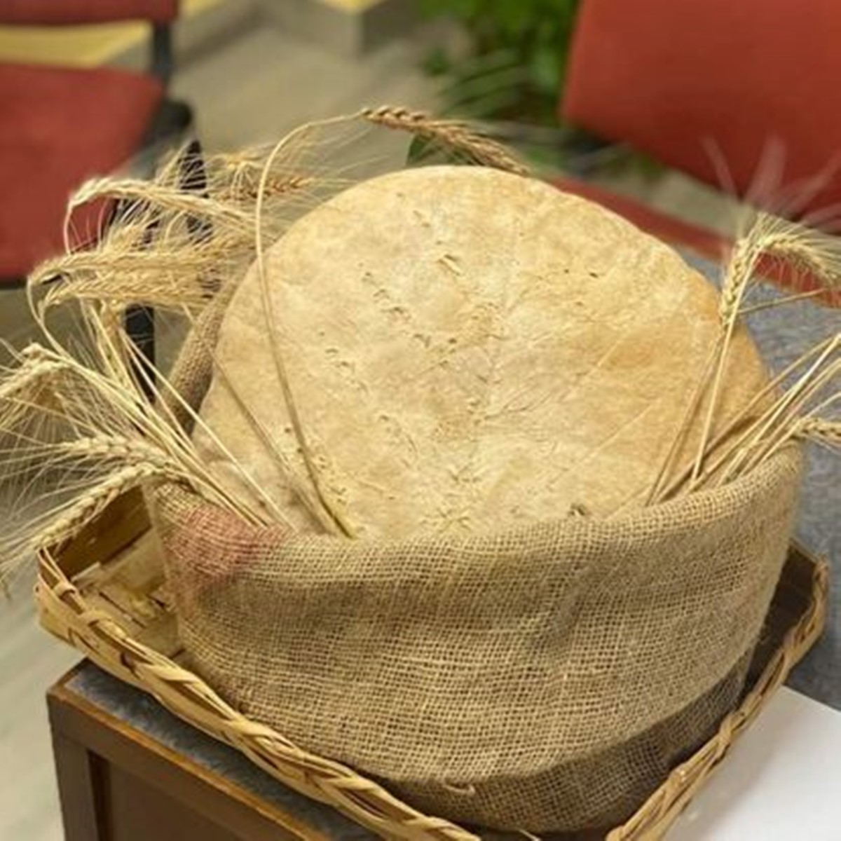 Sagra del pane di grano di Pellegrina: il 9 agosto con Gerardo Sacco