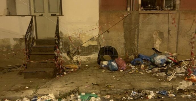 Reggio, degrado in centro: colonia di topi che si nutre dei rifiuti – FOTO E VIDEO