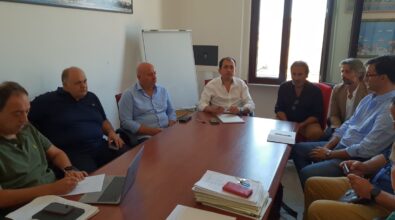 Reggio, aziende agricole danneggiate dal caldo: Metrocity chiederà lo stato di calamità