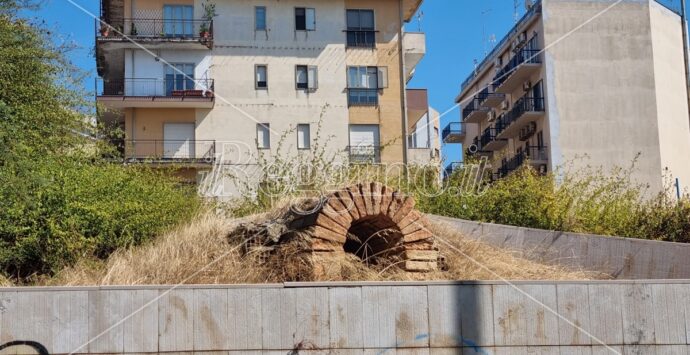 Tomba Ellenistica a Reggio, l’abbandono dell’area continua… | FOTOGALLERY