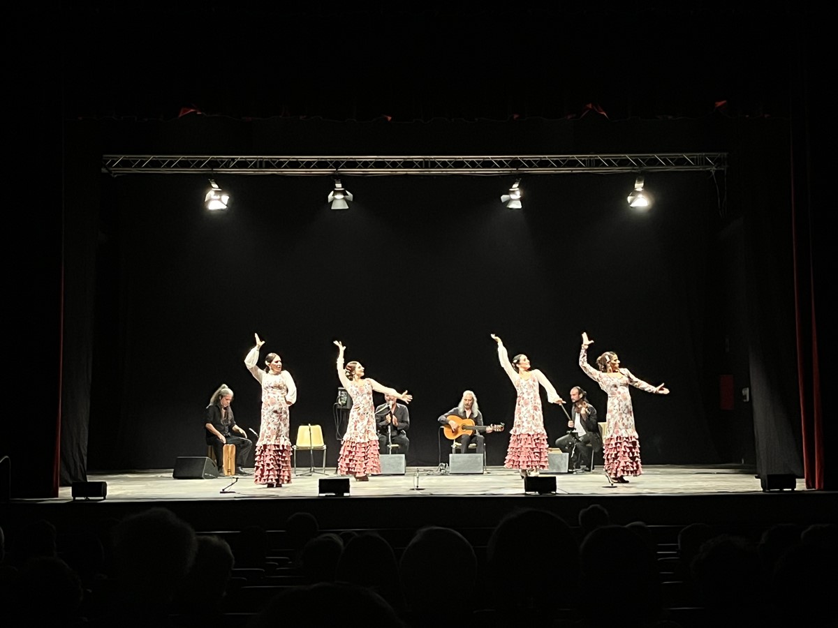 Palmi, la compagnia Flamenco Nuevo accende il teatro Manfroce