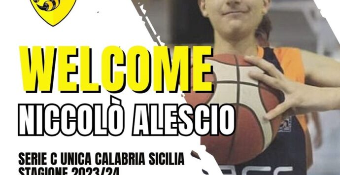 Basket, alla Stingers arriva il giovane Niccolò Alescio