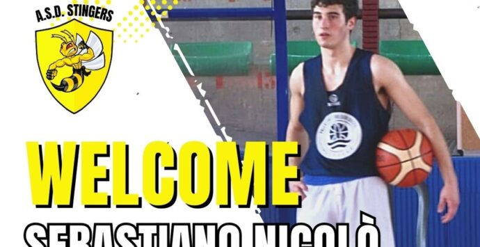 Basket, Sebastiano Nicolò ennesimo arrivo in casa Stingers