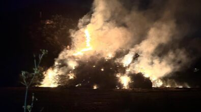 Condofuri, incendio nella notte devasta la Valle dell’Amendolea