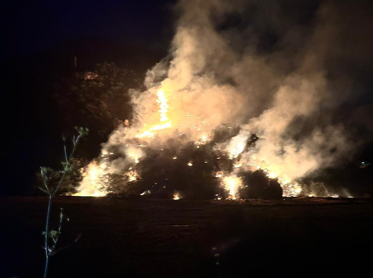 Condofuri, incendio nella notte devasta la Valle dell’Amendolea