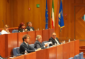 Legge regionale sugli impianti radioelettrici, Mattiani (FI): «Pone la Calabria all’avanguardia»