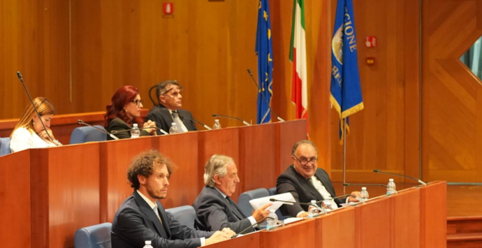 Legge regionale sugli impianti radioelettrici, Mattiani (FI): «Pone la Calabria all’avanguardia»