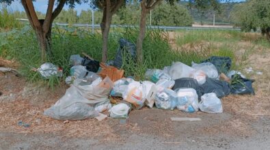 Bova Marina, nuovo sfregio al Parco Archeoderi: i rifiuti come biglietto da visita