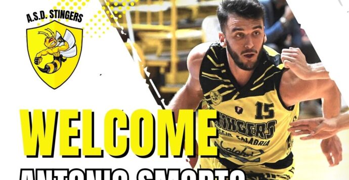 Antonio Smorto è un nuovo giocatore degli Stingers Reggio Calabria