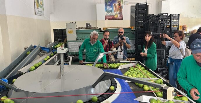 Bergarè a Reggio, gli chef stellati raccontano storie di gusto al bergamotto – FOTO