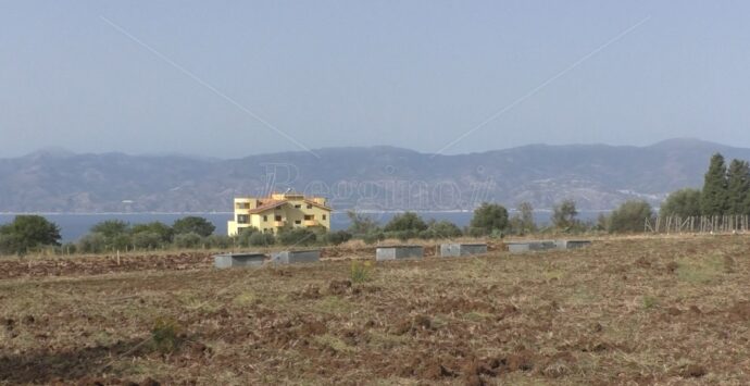 Reggio, a Gallina torna l’azienda agraria sperimentale della Mediterranea – FOTO e VIDEO