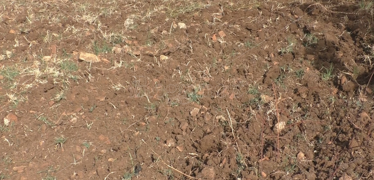 Consumo del suolo in Calabria: a Gioia Tauro il 9,14% e a Villa il 27,9%