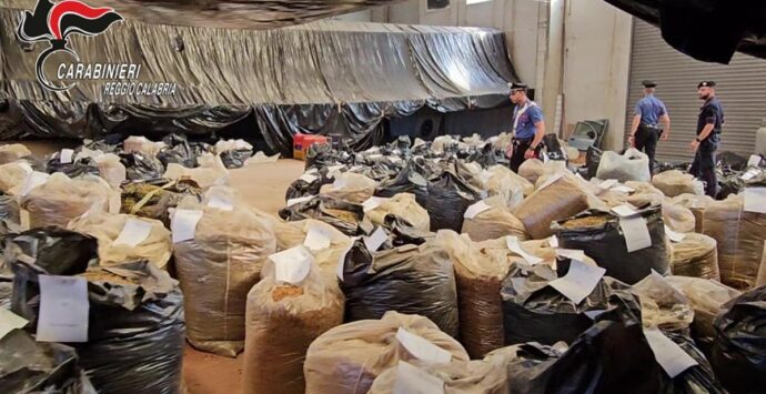 San Ferdinando, tre tonnellate di cannabis sequestrate da carabinieri nella zona industriale del porto – FOTO e VIDEO