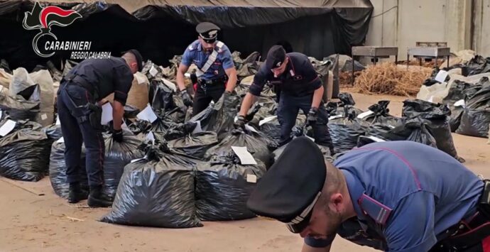 San Ferdinando, tre tonnellate di cannabis sequestrate da carabinieri nella zona industriale del porto – FOTO e VIDEO