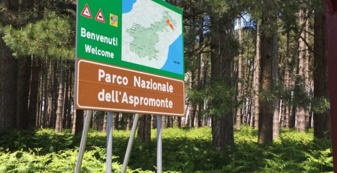 Il Parco nazionale dell’Aspromonte al penultimo posto della top 25 dei Parchi d’Italia di Holidu